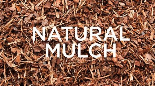 mulch